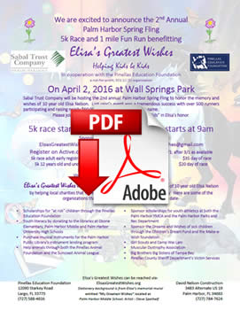 Race_sponsorship_form_2016.pdf